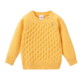 Baby Boy Knit Sweater