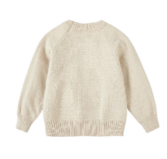Baby Boy Cartoon Sweater