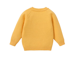 Baby Boy Knit Sweater